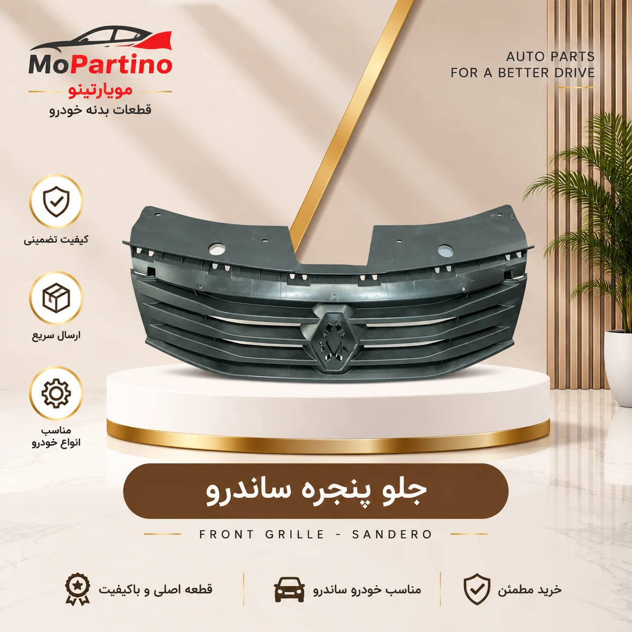 جلو پنجره رنو ساندرو شرکتی